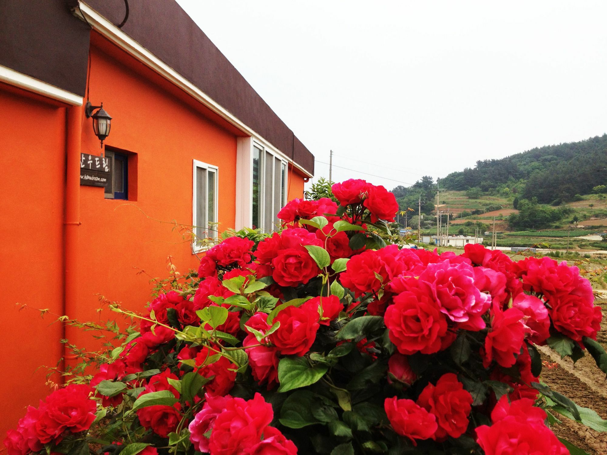 Hanudream Pension Yeosu Esterno foto